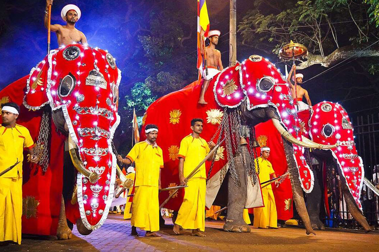 international_tour_packages_srilanka-habarana