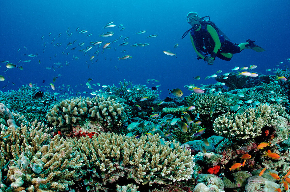 maldives-scuba