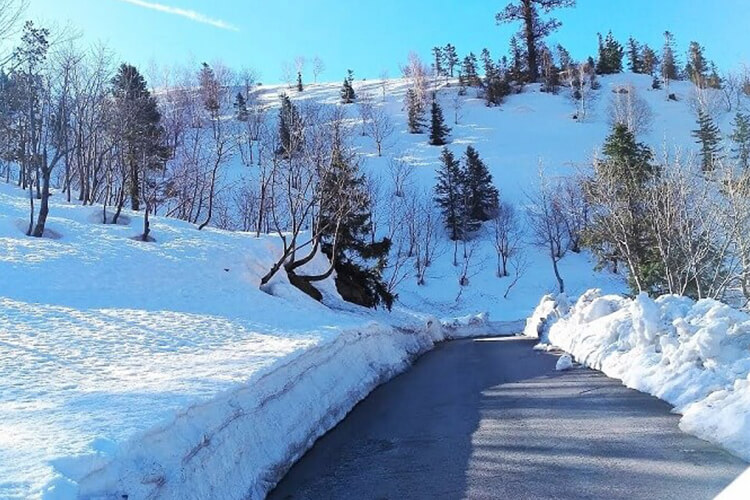 domestic_tour_packages_himachal-manali