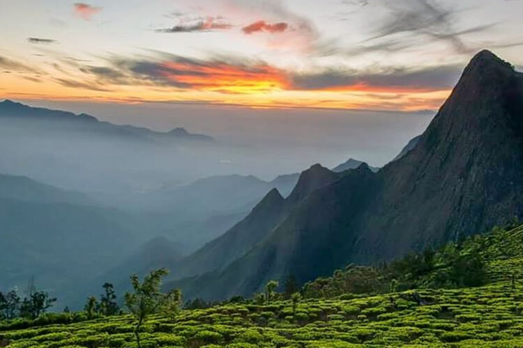 domestic_tour_packages_kerala-kovalam
