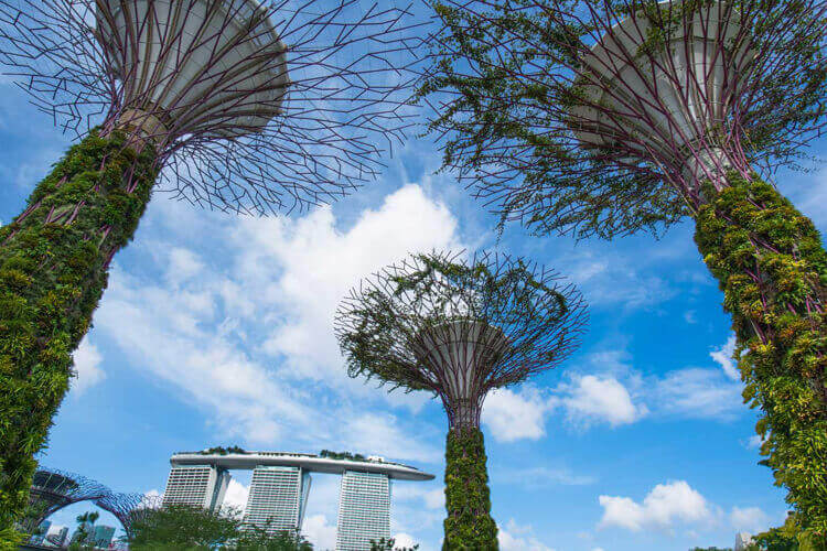 international tour packages singapore 