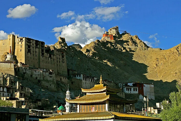 domestic tour packages ladakh